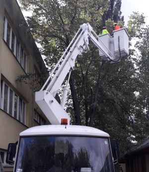 Fabontás emelőkosárból 2 fővel