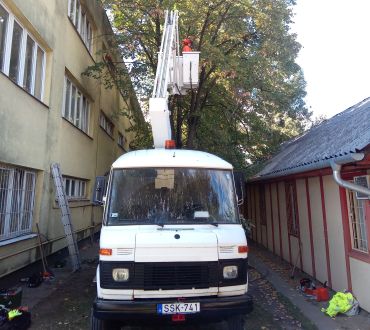 Fabontás épületek között